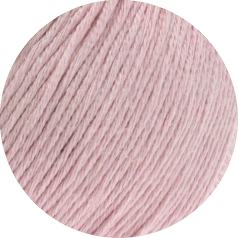 006 rosa