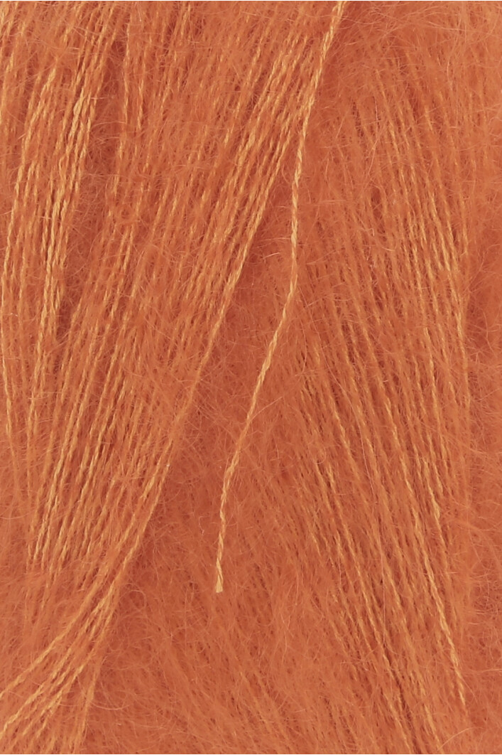 0159 kürbis