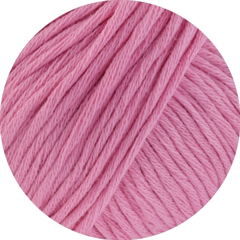 010 Rosa