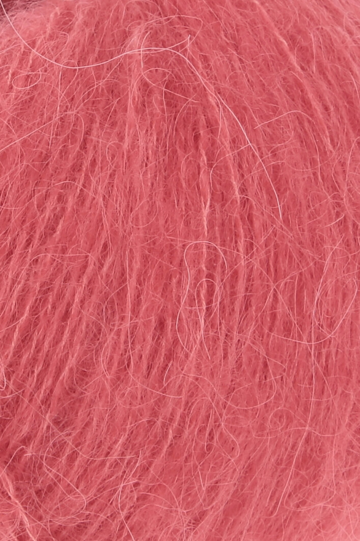 0029 Wassermelone
