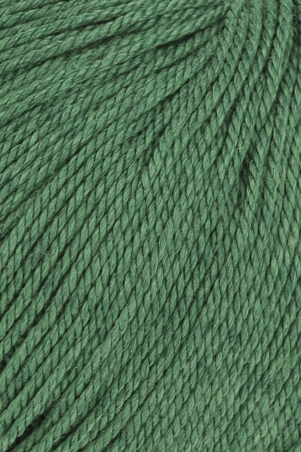 0017 grün