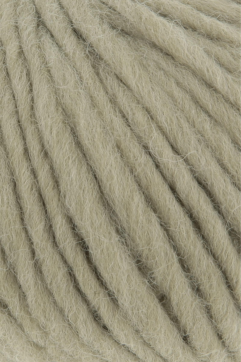 0097 olive