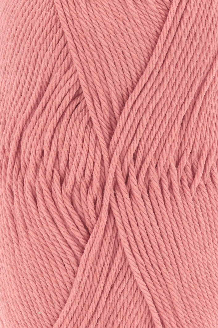 0129 flamingo