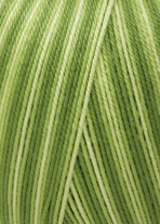 SCHULGARN Color 10/4 - 0197 oliv ombré - Lang Yarns