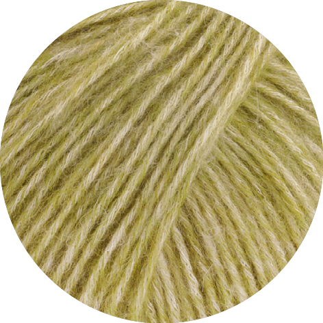 026 Kiwi meliert
