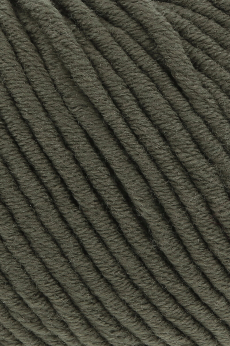 0098 olive
