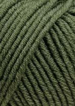 0198 olive
