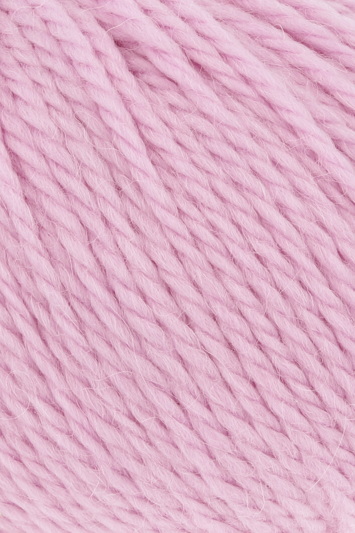 0019 rosa