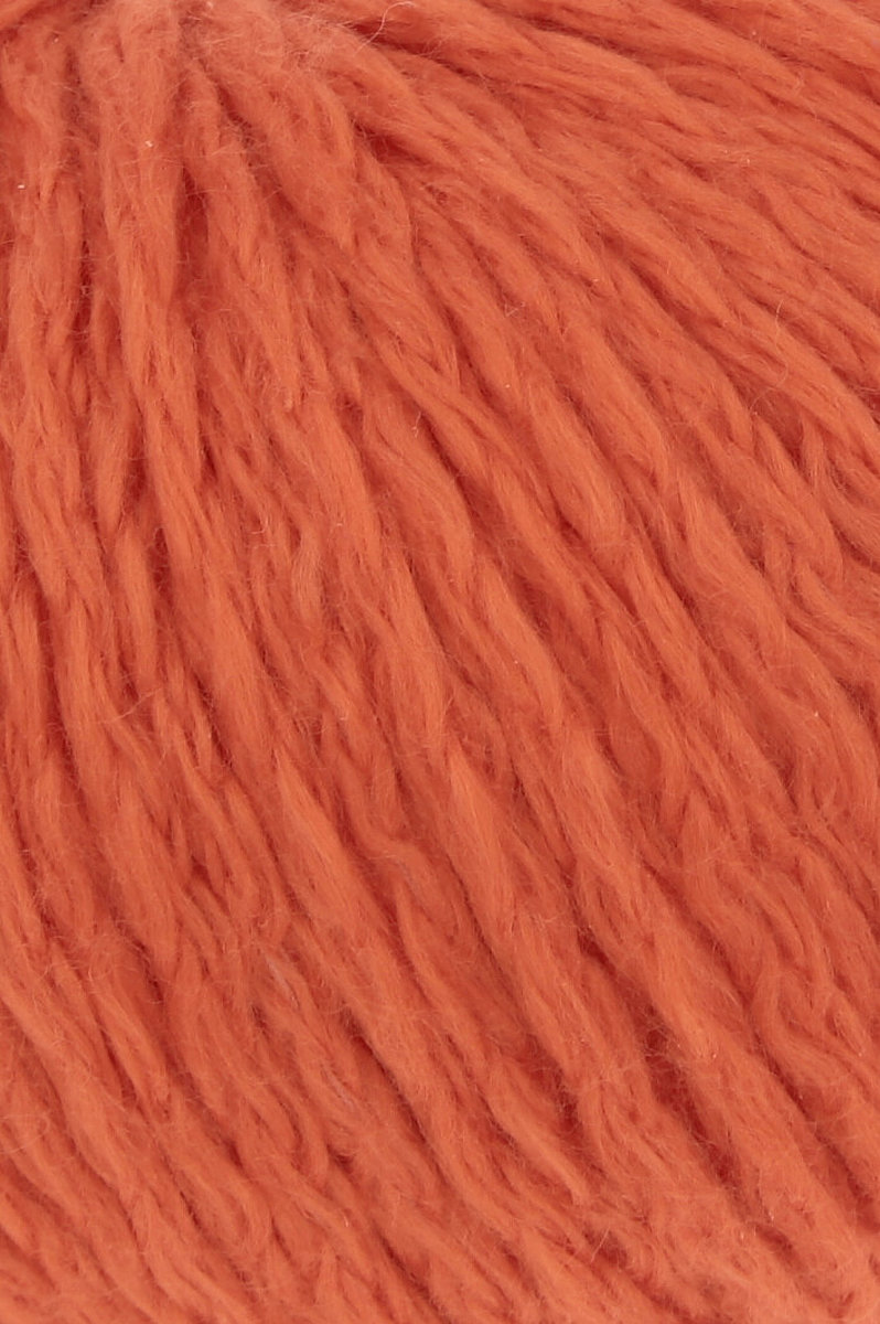 0061 tomate