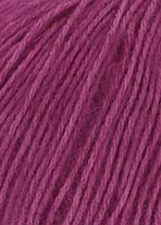 0066 fuchsia