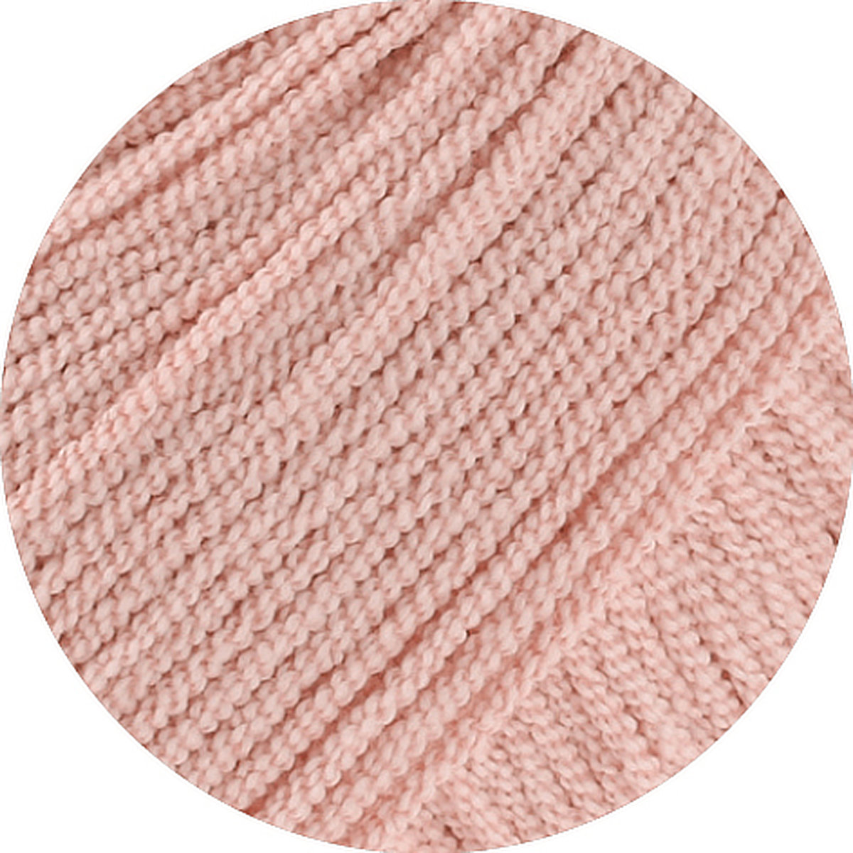 006 rosa