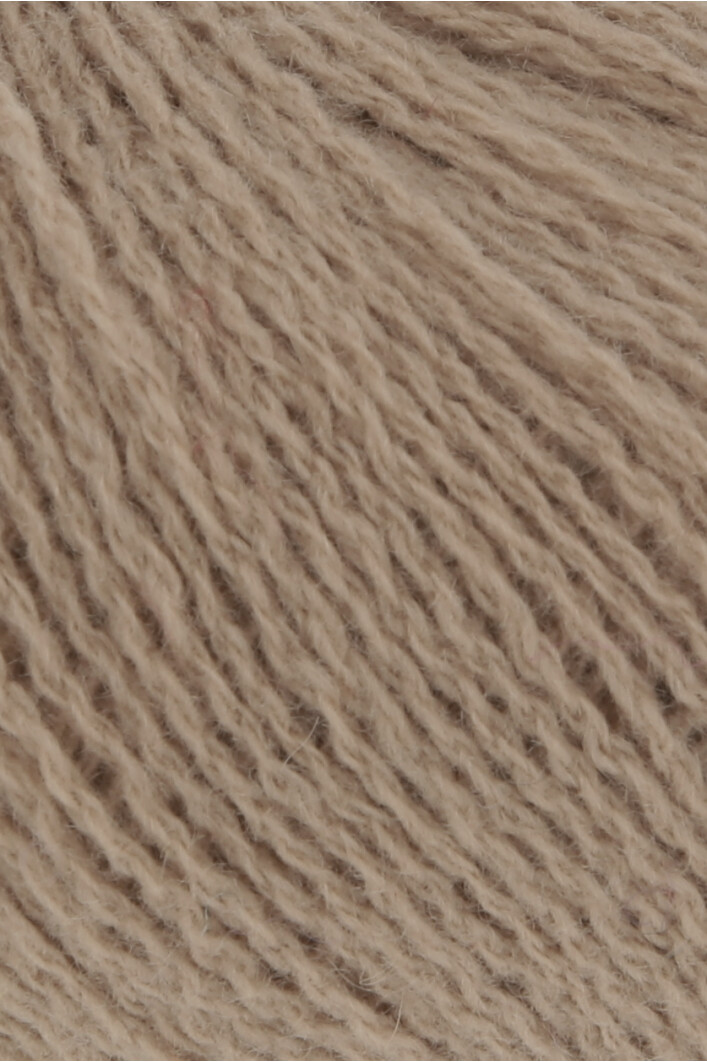 0239 camel