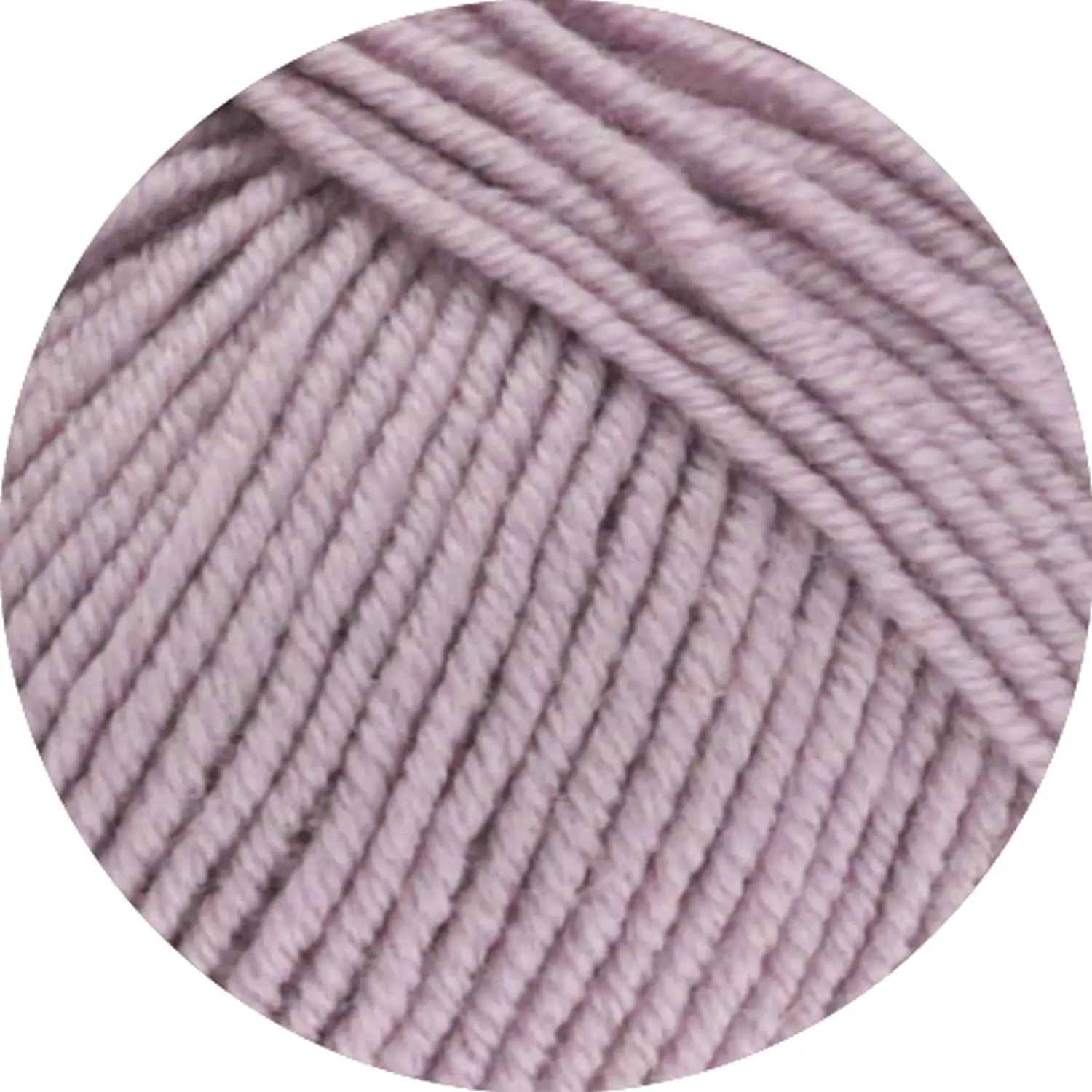 2058 Mauve