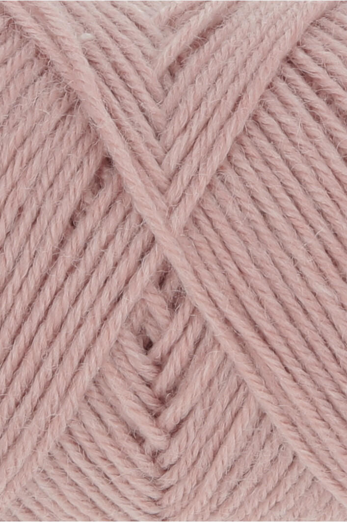 0119 rosa