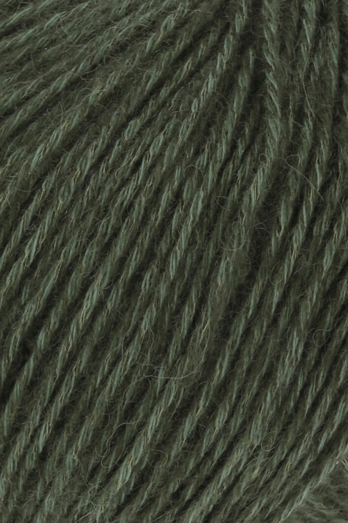 1093.0098 Olive Dunkel