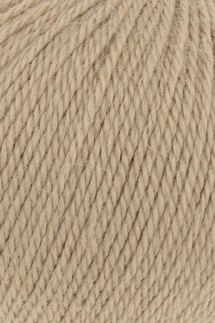 0238 Camel