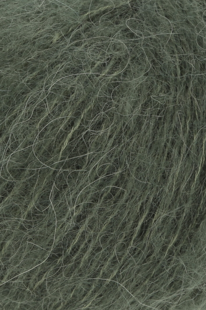0098 olive