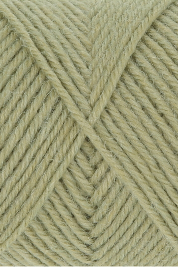 0197 olive