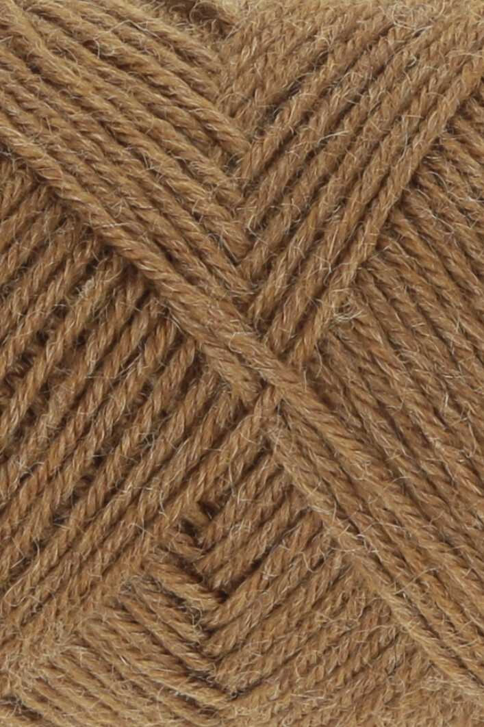 0139 camel