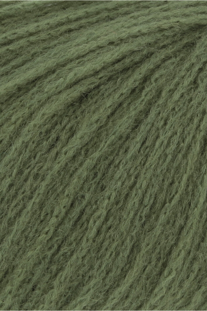 0098 olive