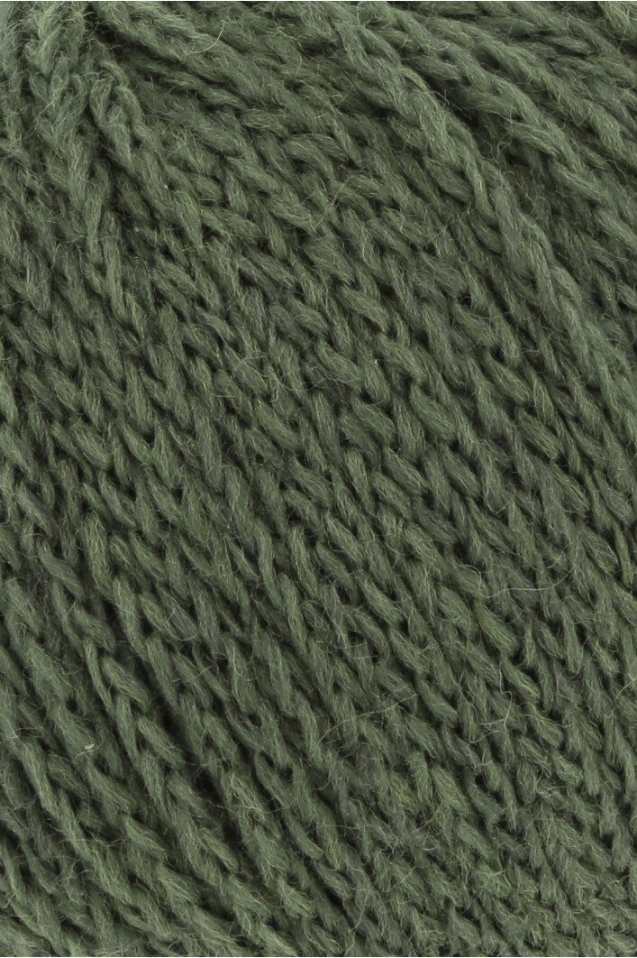 0217 Fern