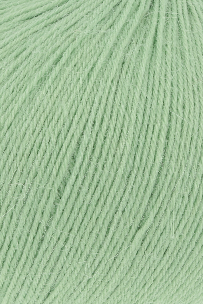 0116 Erbse