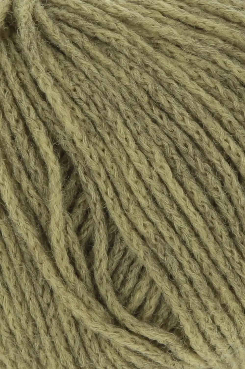 0097 olive