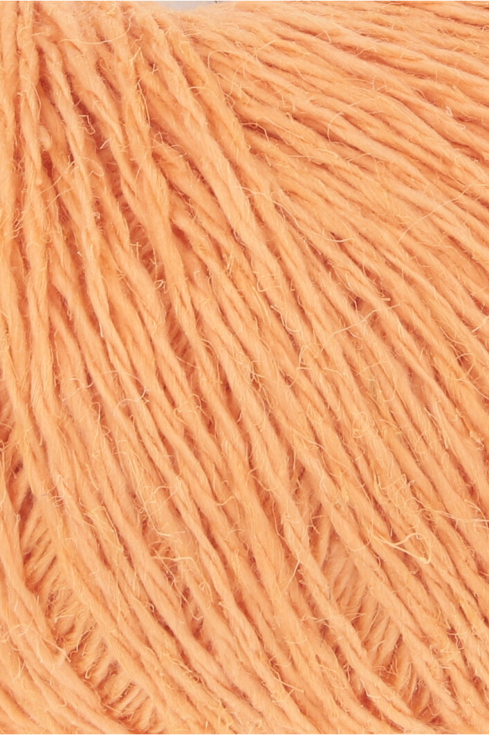 0027 apricot