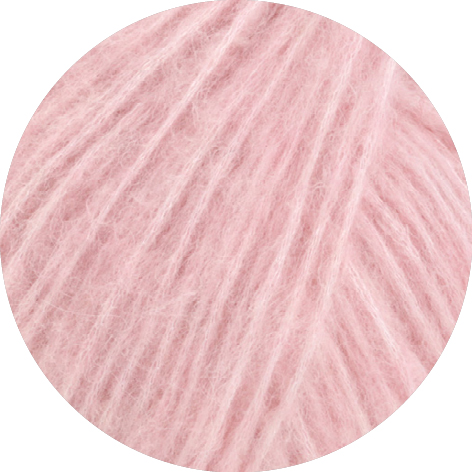 004 rosa