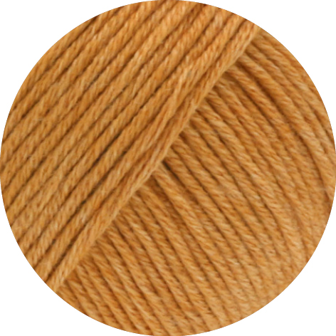 043 camel