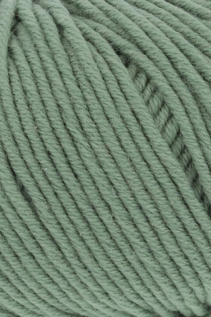 0091 salbei