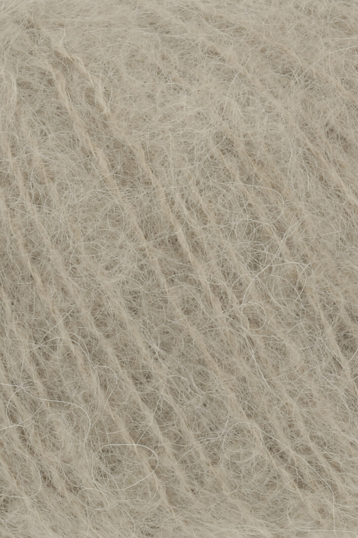 0067 camel
