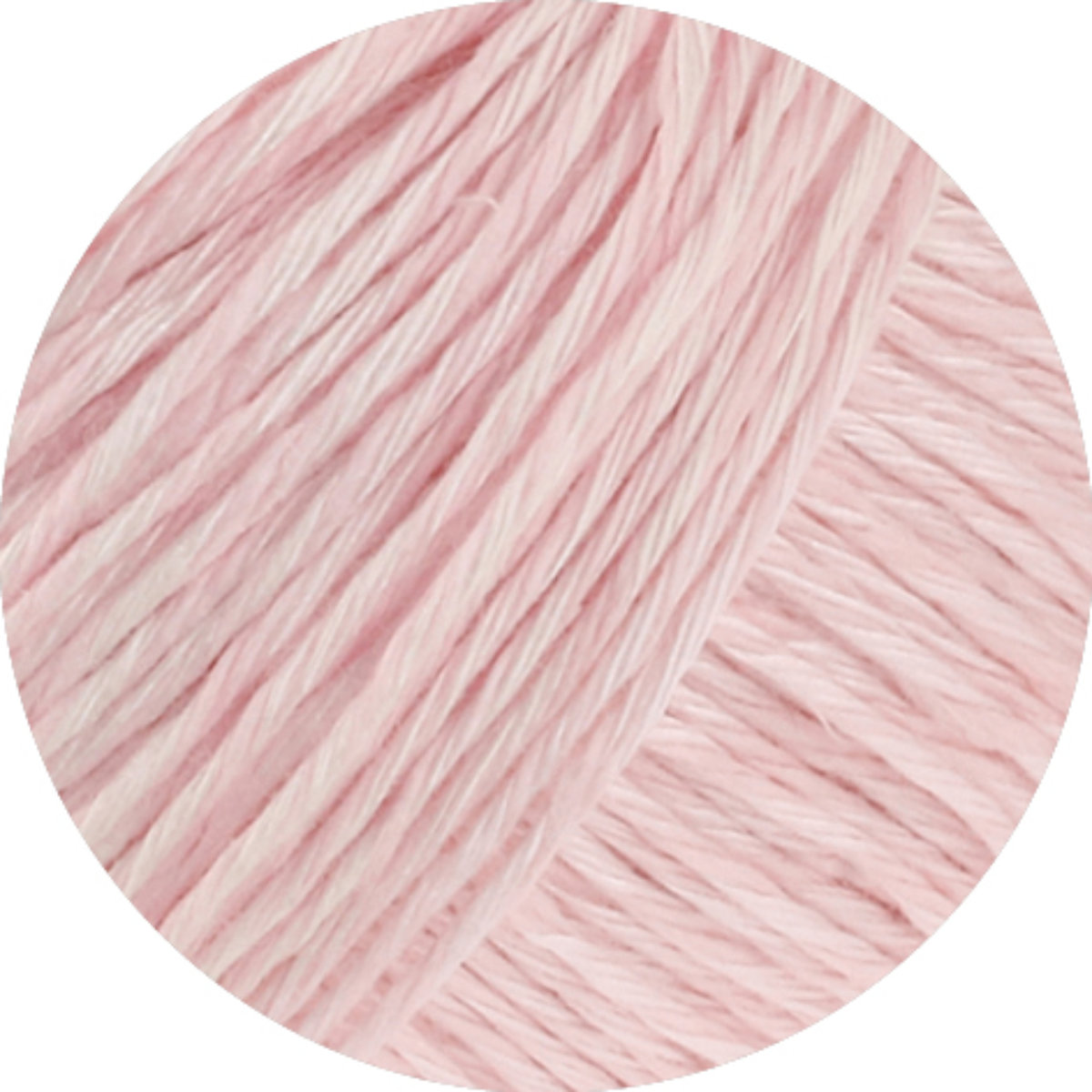 013 rosa